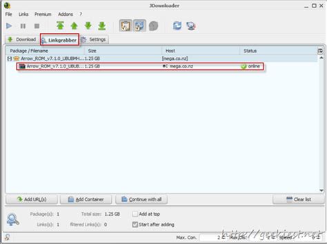 How to Download Files from Mega.co.nz using Download Manager .